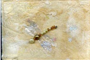 Ivory Dragonfly