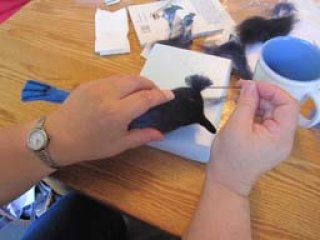 img_1433 img_1433